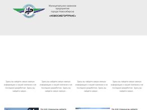 Новосибгортранс