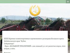 Читинская государственная заводская конюшня с ипподромом им. Хасоена Хакимова