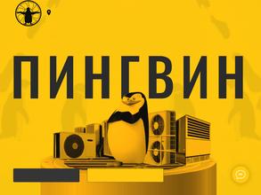 Пингвин климат