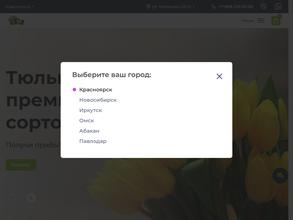 Оптовая компания по поставкам тюльпанов и мимоз