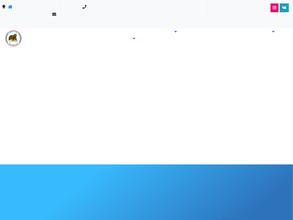 Сибирские Медведи