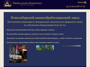 Профессионал