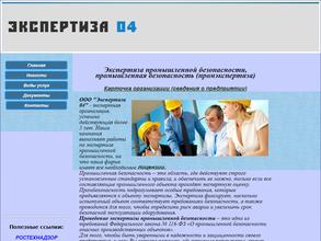 Экспертиза 04