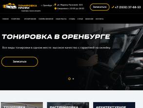 Тонировкин дом