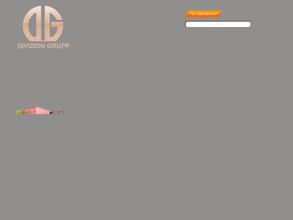 Дивизион Групп