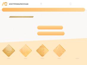 Костромалесснаб