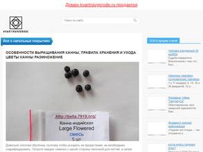 Квартира в городе