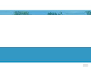 Литораль Шоколад