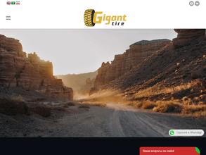 Шинный центр для грузовых автомобилей и спецтехники