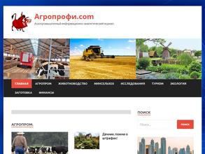 Комплект Проффи