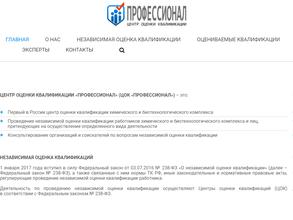 Профессионал