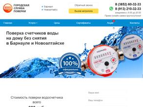 Городская служба поверки