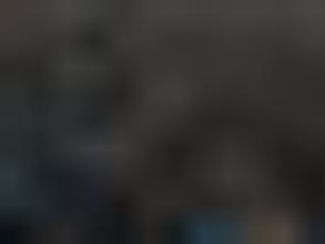 Спортивная Федерация Бейсбола Санкт-Петербурга