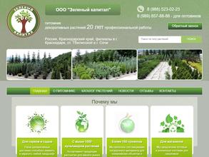 Зеленый капитал