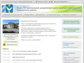 Центральный межрайонный центр занятости населения по Чишминскому району