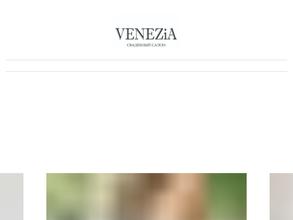 V E N E Z i A