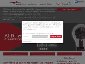 МетаСистемс