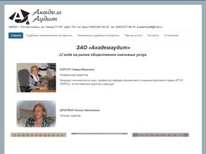 Академаудит