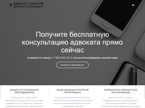 Адвокат Шваков Д.А.