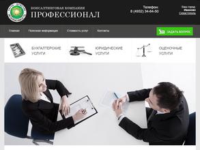 Профессионал