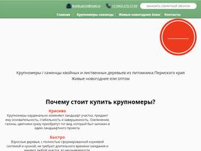 Лесник-Пермь