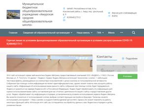 Амурская средняя общеобразовательная школа