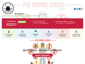 ДезСервис