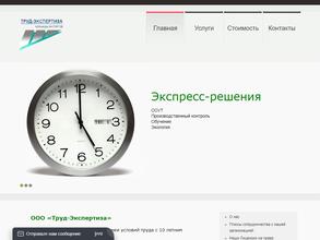 Труд-экспертиза