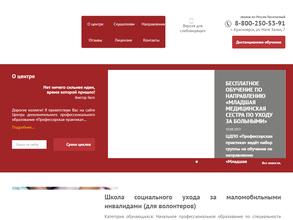 Профессорская практика