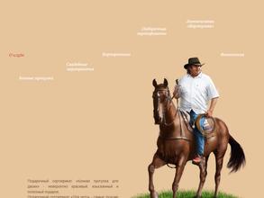 Конный клуб Романа Зорина