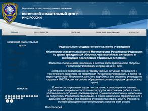 Ногинский Спасательный Центр МЧС России