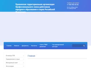 Пушкинская районная организация профсоюза работников народного образования и науки РФ