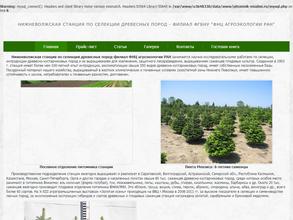 Нижневолжская станция по селекции древесных пород