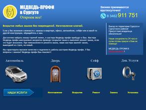 Медведь-профи