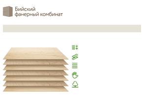 Бийский фанерный комбинат