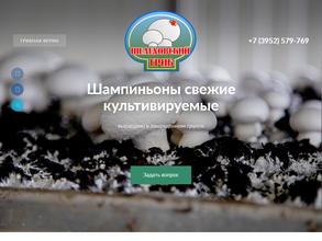 Шелеховский гриб