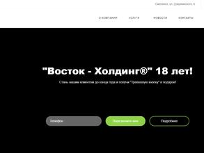 Восток-холдинг