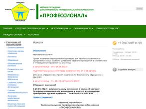 Профессионал