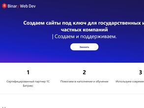 BinaryWebDev