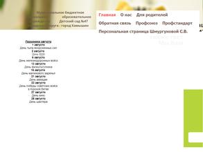 Детский сад №47