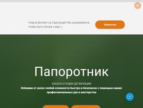 Папоротник