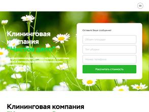 Чистое дело