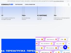 Консалт Инфо