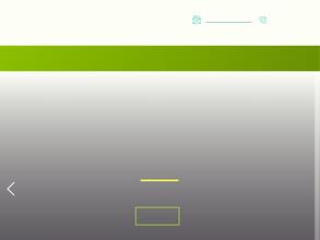 Честные финансы