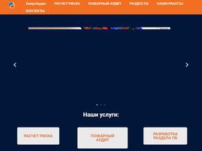 Бонусаудит