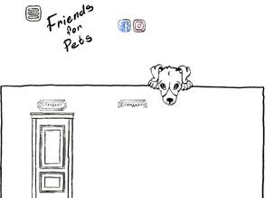 Friends for pets