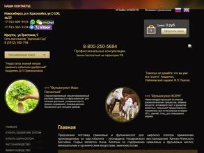 Мануфактура Ивана Овсинского