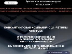 Профессионал