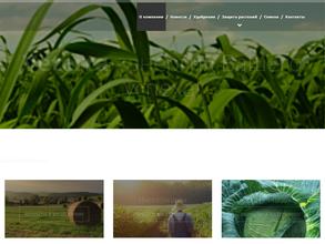 Ветерра-Курск