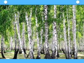 Чистое небо